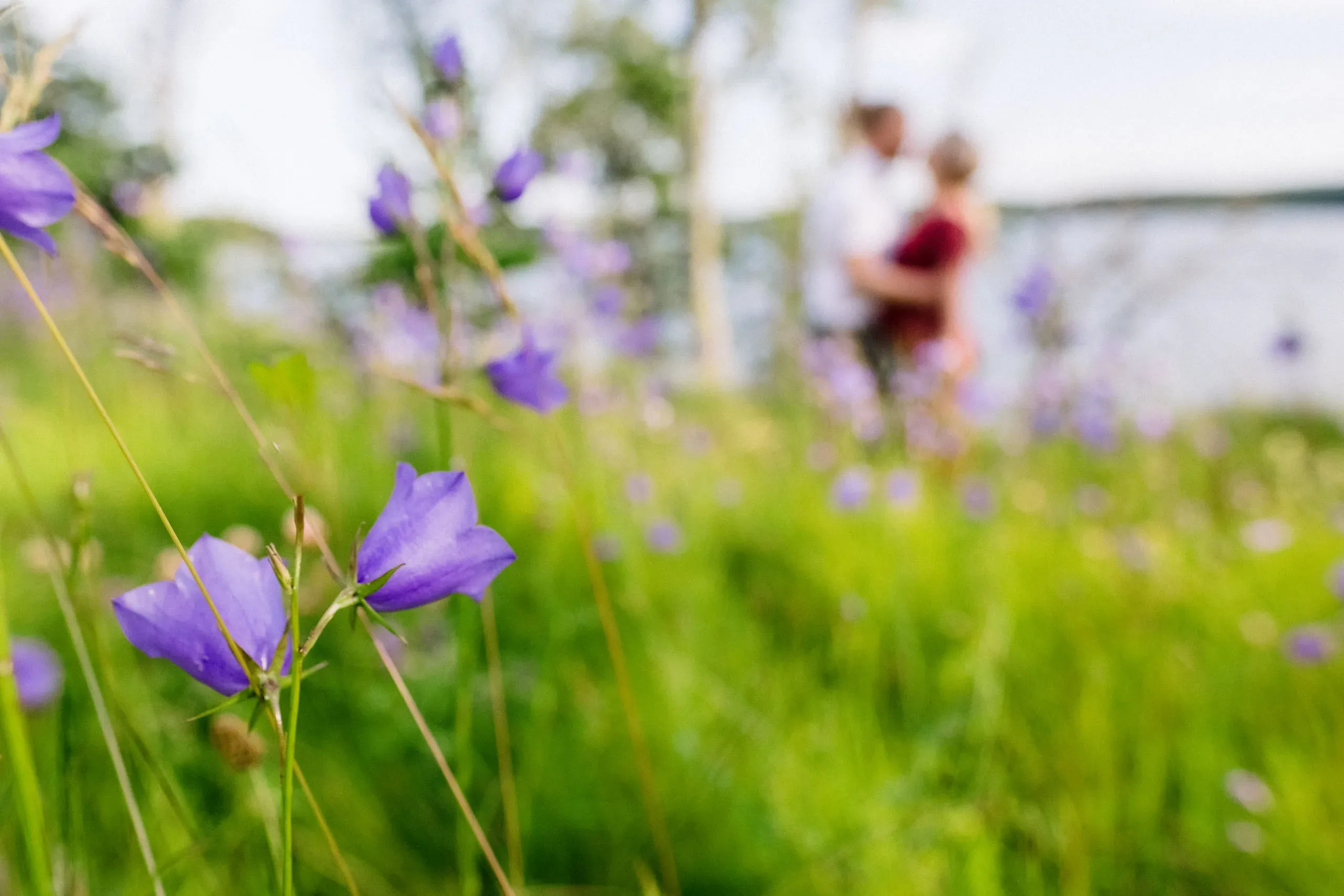 Linn & Linus under sin borgliga vigsel i Södermanland bild 10